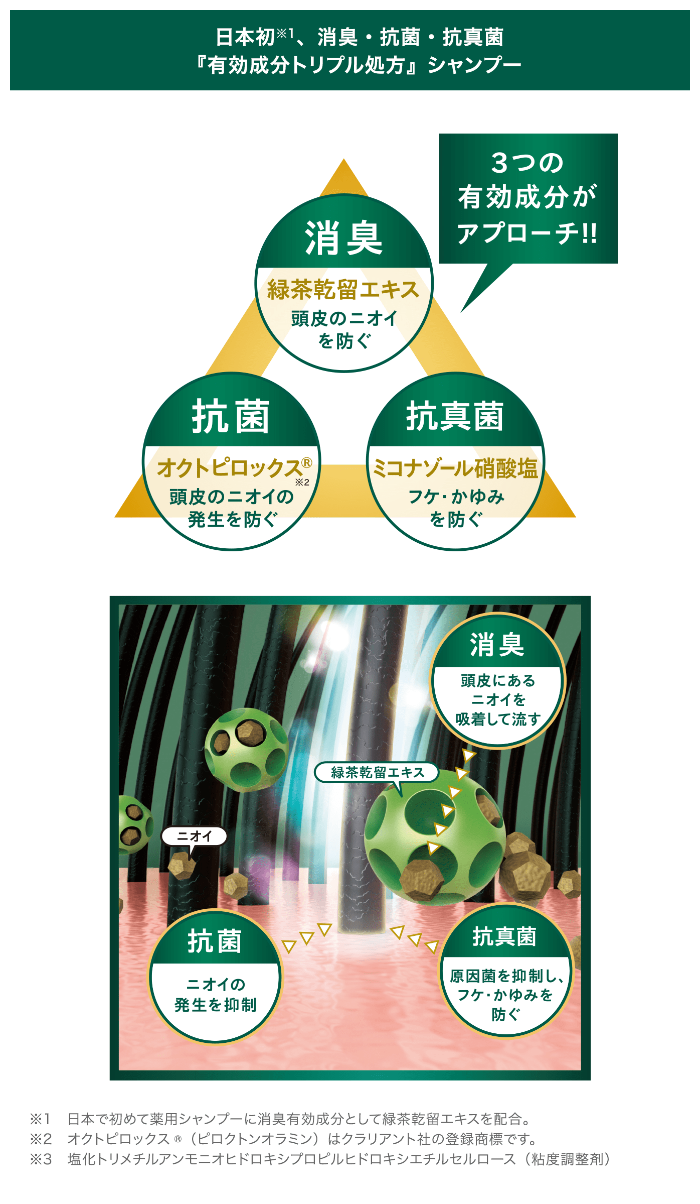 女性の抜毛・薄毛の原因として考えられるもの