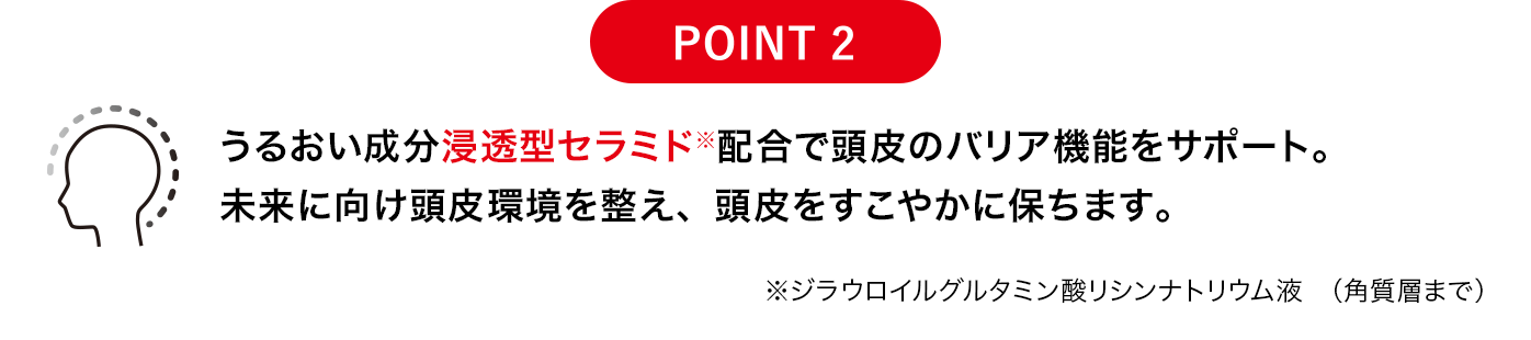[POINT 2]うるおい成分浸透型セラミド※配合で頭皮のバリア機能をサポート。未来に向け頭皮環境を整え、頭皮をすこやかに保ちます。