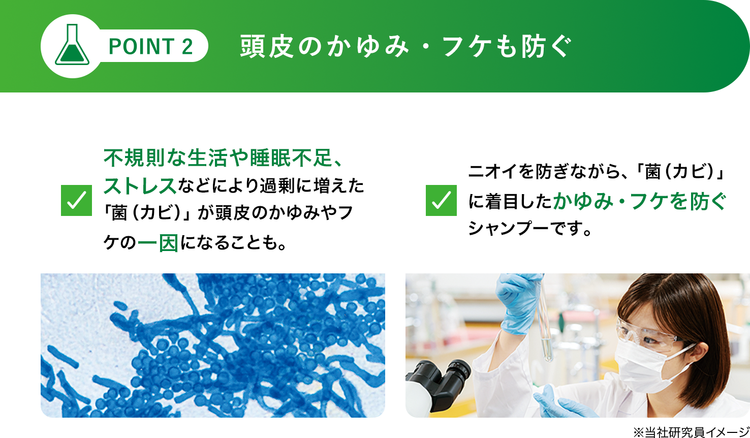 [POINT 2]頭皮のかゆみ・フケも防ぐ 不規則な生活や睡眠不足、ストレスなどにより過剰に増えた「菌（カビ）」が頭皮のかゆみやフケの一因になることも。ニオイを防ぎながら、「菌（カビ）」に着目したかゆみ・フケを防ぐシャンプーです。