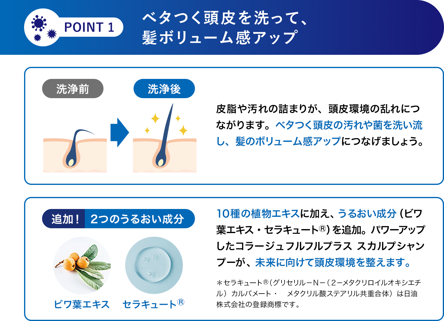 [POINT 1]ベタつく頭皮を洗って、髪ボリューム感アップ 皮脂や汚れの詰まりが、頭皮環境の乱れにつながります。ベタつく頭皮の汚れや菌を洗い流し、髪のボリューム感アップにつなげましょう。10種の植物エキスに加え、うるおい成分（ビワ葉エキス・セラキュート&reg;）を追加。パワーアップしたコラージュフルフルプラス スカルプシャンプーが、未来に向けて頭皮環境を整えます。